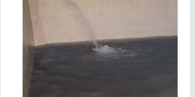 7136_02.jpg